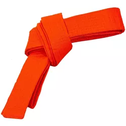 cumpără Îmbrăcăminte sport SUHS 12679 Curea pt kimono l=280cm CO-4074 orange în Chișinău 