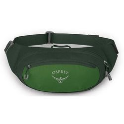 cumpără Geantă de talie Osprey Daylite Waist green belt/green canopy hip (843820184372) în Chișinău 