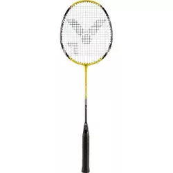 купить Инвентарь для бадминтона Victor 110300 Paleta Badminton AL-2200 в Кишинёве 