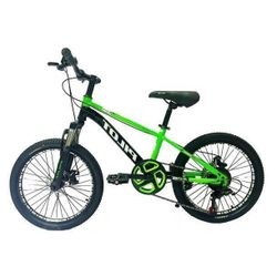 купить Велосипед Richi GI-9 / 1 verde PILOT pentru copii 20' в Кишинёве 