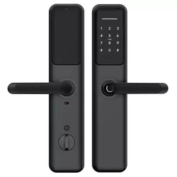 купить Умный дверной замок TTLock H9 Black в Кишинёве 