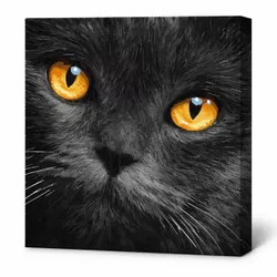 купить Картина по номерам Ideyka KHO4391 40x40cm Eco, Ochi aramii в Кишинёве 