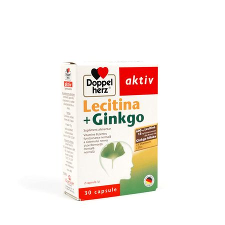 cumpără Doppelherz Activ Lecitina+Gingko 600mg+15mg caps. N30 în Chișinău