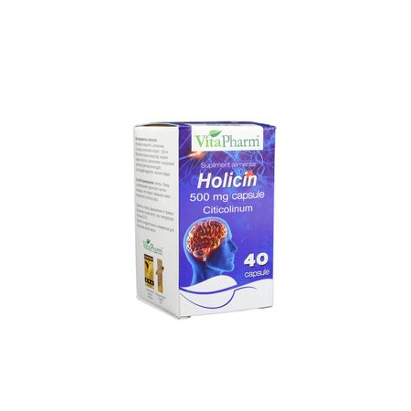 cumpără Holicin 500mg caps. N40 în Chișinău