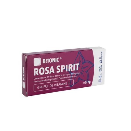 cumpără Bitonic Rosa Spirit caps. N10 în Chișinău