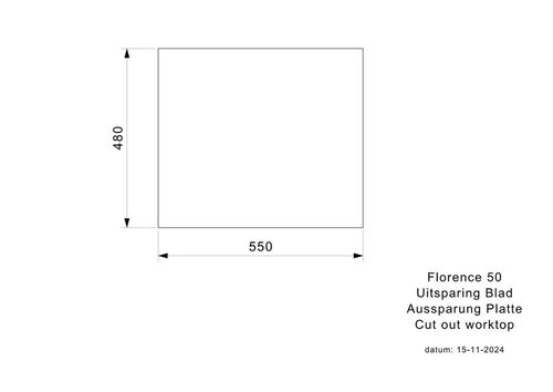 купить Мойка кухонная Reginox R41062 Florence 50 Soft White в Кишинёве 