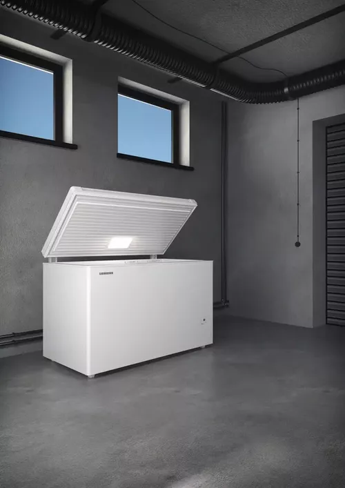 купить Морозильник Liebherr CFe 2080 Pure в Кишинёве 