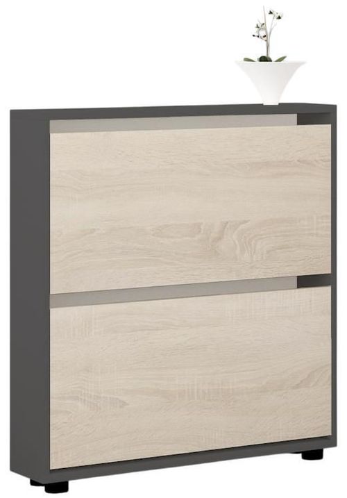 cumpără Raft pentru încălțăminte Mobildor-Lux Leo Slim 50x16x86H cm Anthracite/Sonoma în Chișinău 