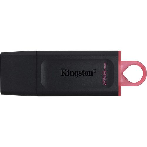 cumpără USB flash memorie Kingston DTX/256GB în Chișinău 