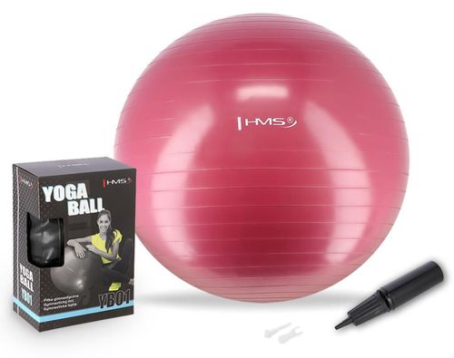 купить Мяч HMS 4824 Minge gimnastica d=65cm cu pompa Plum YB01 (17-42-162) в Кишинёве 