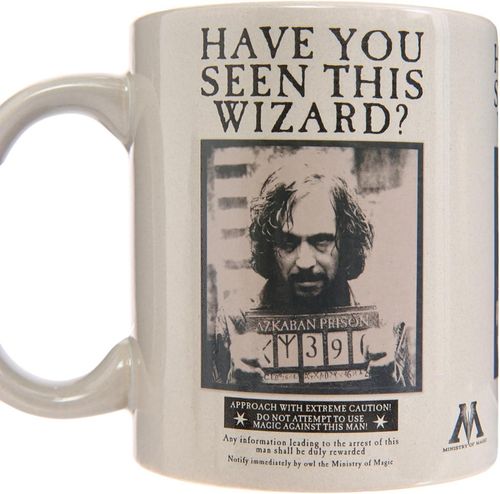 cumpără Cană Pyramid International SCMG25012 HARRY POTTER (WANTED SIRIUS) HEAT CHANGE MUG în Chișinău 