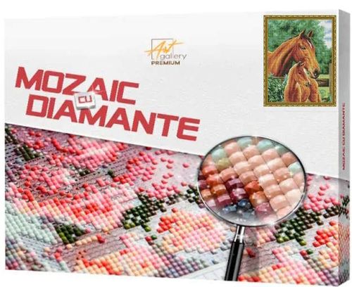 cumpără Tablou pe numere Art Gallery QB200005 Mozaic cu diamante patrate 40x50cm Cal cu manz în Chișinău 