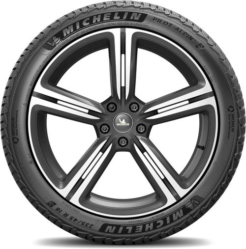 купить Шина Michelin 245/35 R20 Pilot Alpin-5 95V в Кишинёве 
