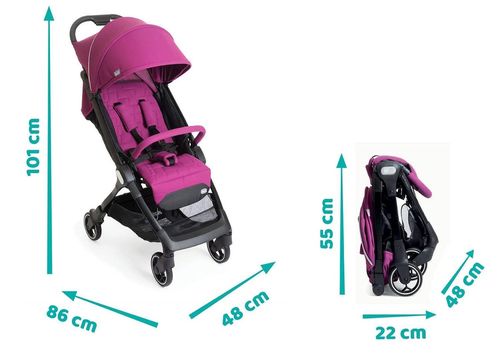купить Детская коляска Chicco 79885196 We, Ciclamen, 0+ luni в Кишинёве 