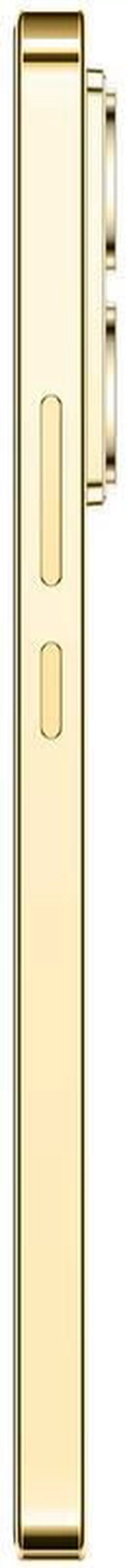 cumpără Smartphone Infinix Note 40 Titan Gold 4G 256GB în Chișinău 