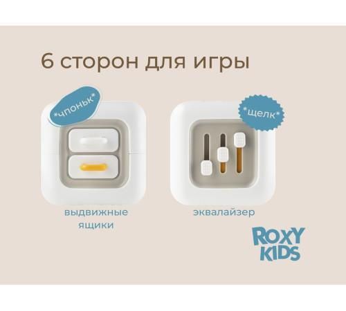 cumpără Jucărie Roxy Kids RMON-001 Busy Cube în Chișinău 