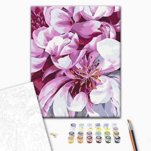 купить Картина по номерам BrushMe RBS51712FC 30x40сm (fără cutie) Floare fotografiată în stil macro в Кишинёве 