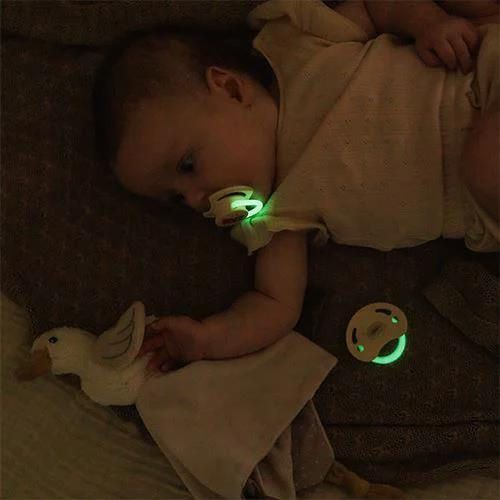 cumpără Suzetă BabyOno 1669/02 Suzete simetrice din silicon 6-18 luni (2 buc) în Chișinău 