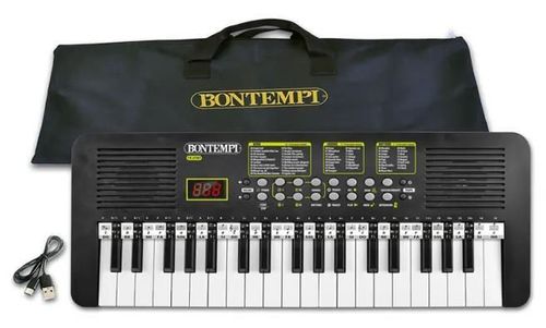 купить Музыкальная игрушка Bontempi 153787 Sintezator 37 silabe + geanta, cod 60769 в Кишинёве 