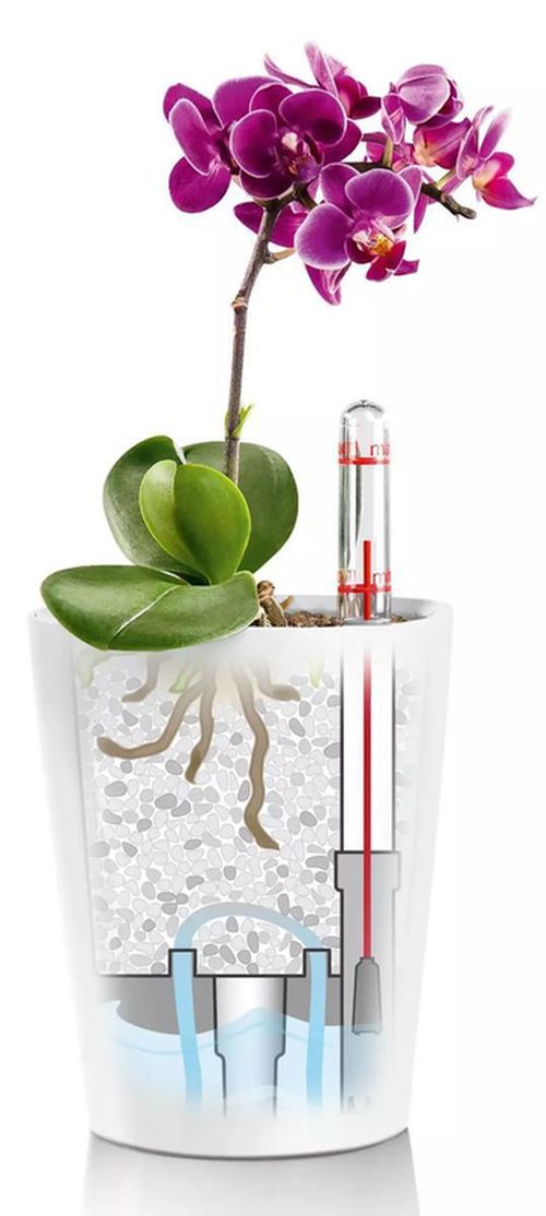 cumpără Ghiveci pentru flori Lechuza Mini Deltini Premium, Shiny Taupe în Chișinău 