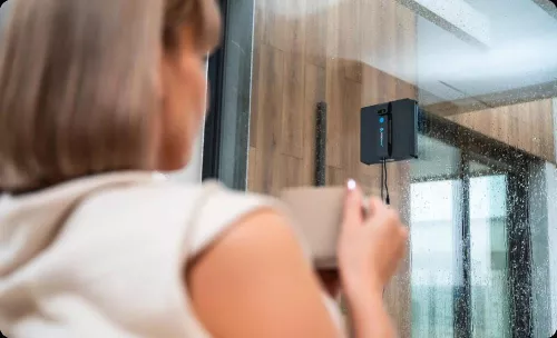 купить Робот мойщик окон Roboway RW-5 в Кишинёве 