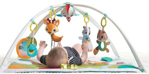 купить Коврик игровой Tiny Love 1205106830 Into The Forest, Gymini Deluxe в Кишинёве 