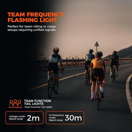купить Аксессуар для велосипеда Rockbros 24120010001 Lanterna spate pentru bicicleta RO, ROLL OVER в Кишинёве 