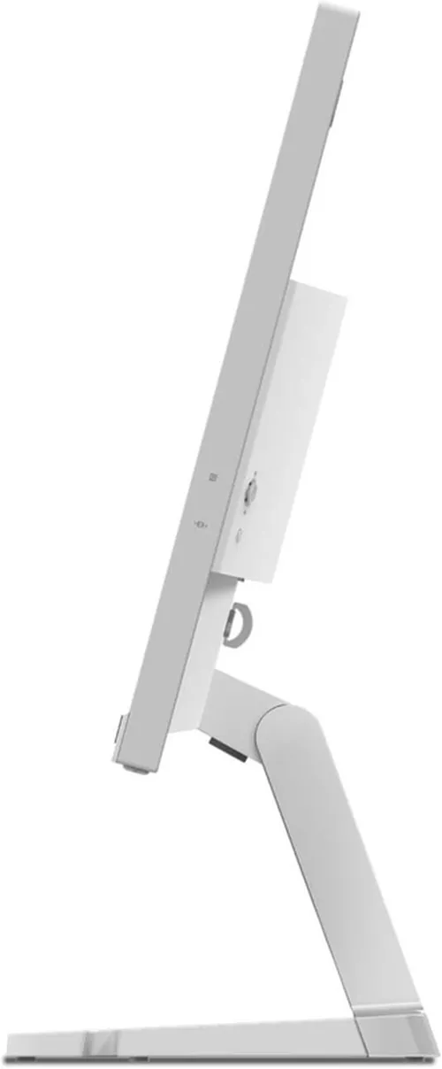 cumpără Monitor Lenovo L25e-40 în Chișinău 