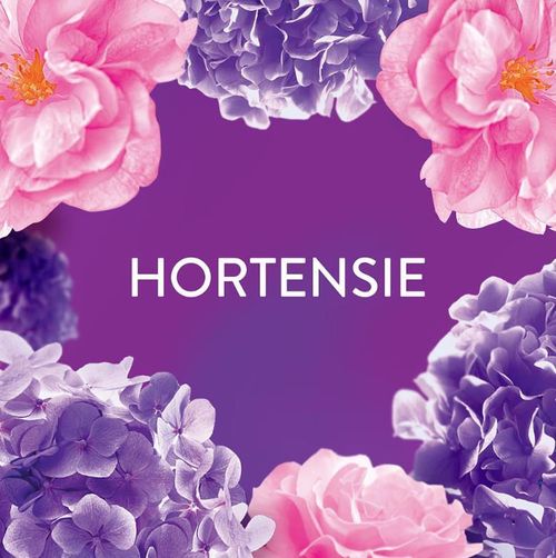 cumpără Balsam de rufe Lenor 1251 PARFUM BOUQUET&MUSK 2X59W în Chișinău 