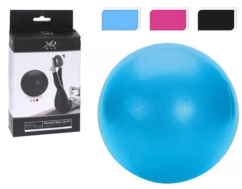 cumpără Minge XQMAX 45038 для пилатеса 25cm în Chișinău 