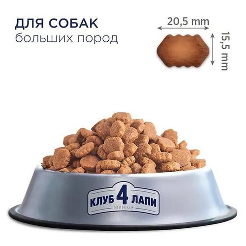 купить Корм для питомцев CLUB 4 PAWS 24230998 Sac caini rase mari 20 kg в Кишинёве 