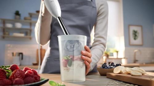 купить Блендер погружной Bosch MSM24100 в Кишинёве 