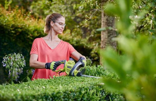 cumpără Foarfece pentru arbuști RYOBI RHT5150 5133002795 în Chișinău 