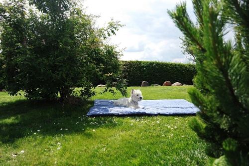 купить Туристический коврик Amazonas Одеяло «Молли океан» в Кишинёве 