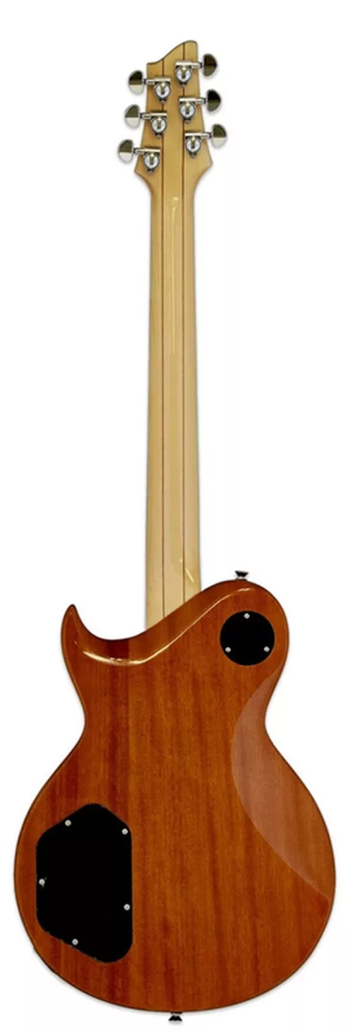 cumpără Chitară Aria Pro II PE-480 SEBL în Chișinău 