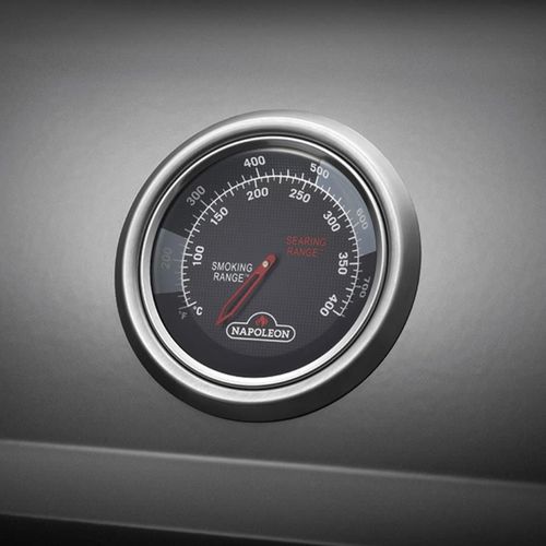 cumpără Grătar Napoleon Gratar pe gaz Freestyle 425 negru cu aragaz lateral (F425DSBPK-1-CZ) în Chișinău 