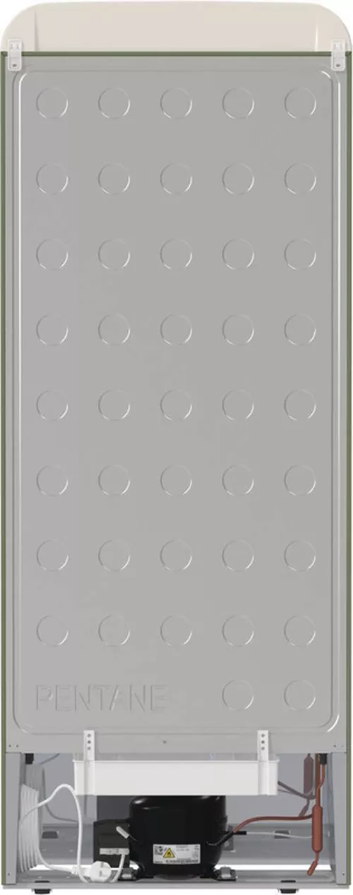 cumpără Frigider cu design autentic Gorenje OBRB615DOL în Chișinău 
