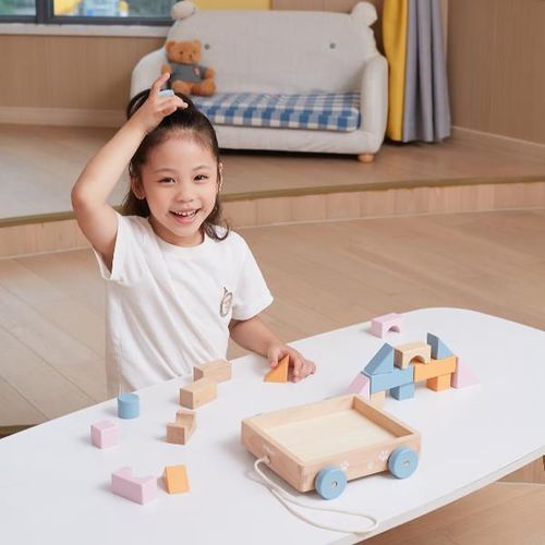 cumpără Puzzle Viga 44096 Jucărie de tras, cu șiret și set de construcție, 20 elem. în Chișinău 