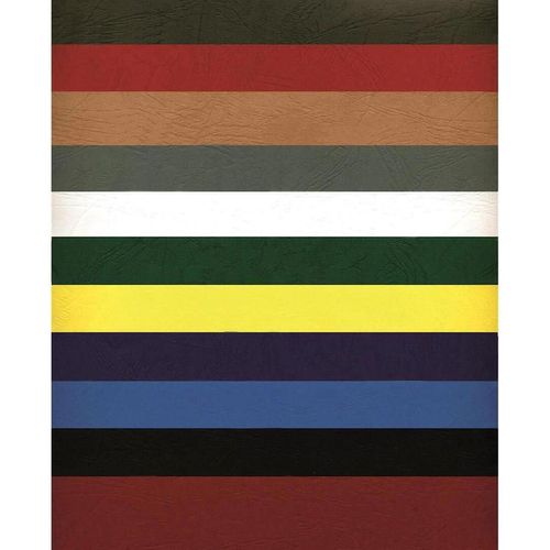 купить Бумага офисная Argo AR432031 Carton Delta A3, 250g/m2, 100 foi, albastra в Кишинёве 