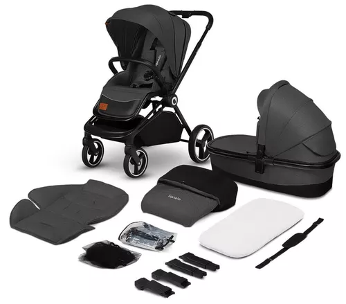 купить Детская коляска Lionelo Mika 2in1 Grey Graphite в Кишинёве 