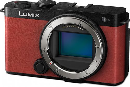 купить Фотоаппарат беззеркальный Panasonic Lumix DC-S9E-R в Кишинёве 