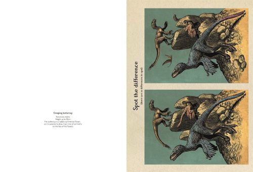 купить Dinosaurium (Activity Book) - Chris Wormell, Lily Murray в Кишинёве 