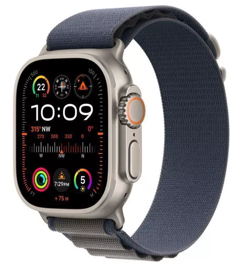 купить Ремешок Apple 49mm Blue Alpine Large MT5M3 в Кишинёве 