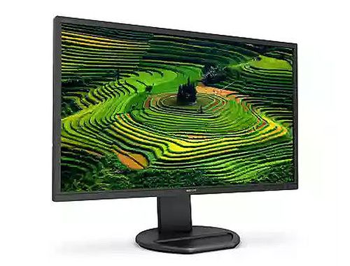 купить Монитор 27" TFT IPS W-LED Philips B Line 2K 272B8QJEB Black WIDE 16:9, 0.233, 5ms, Smart Contrast 20000000:1, Pivot, H:30-83kHz, V:56-76Hz, 2560x1440 Quad HD, Speakers 2Wx2, 2xUSB 3.0, 2xUSB 2.0, HDMI 1.4, Display Port 1.2, DVI-D, D-Sub, TCO03 (monitor/монитор) в Кишинёве 