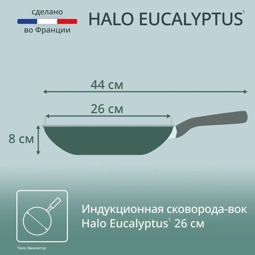купить Сковорода Tefal G0167702 Halo Eucalyptus Wok 26cm в Кишинёве 