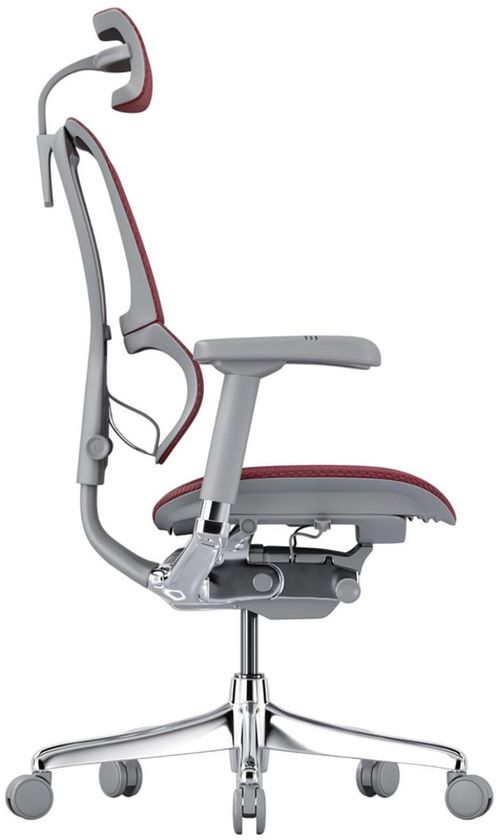 купить Офисное кресло ART Mirus IOO Elite 2 Scarlet T-168-B3 IOOE2-AG-HAM-5D-L в Кишинёве 