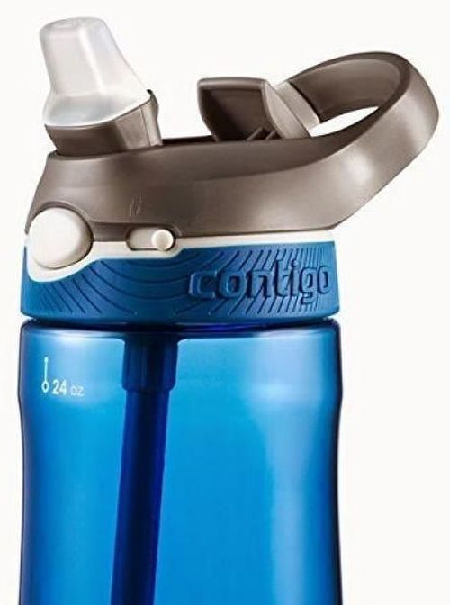 купить Бутылочка для воды Contigo Ashland Monaco Gray 720 ml в Кишинёве 