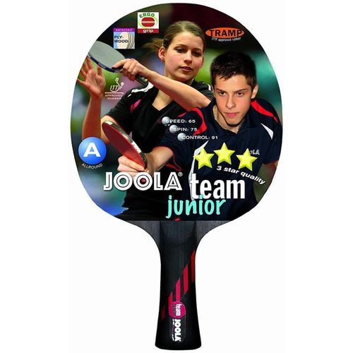 купить Теннисный инвентарь Joola 52004 ракетка p/p Team Junior в Кишинёве 