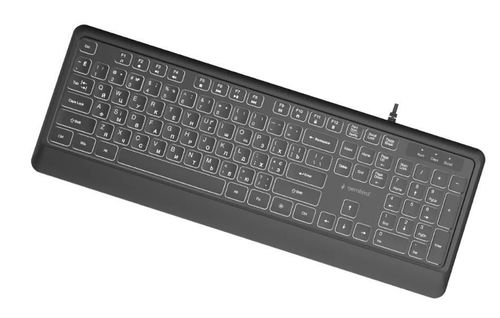 cumpără Tastatură Gembird KB-UML-04-CYRL în Chișinău 