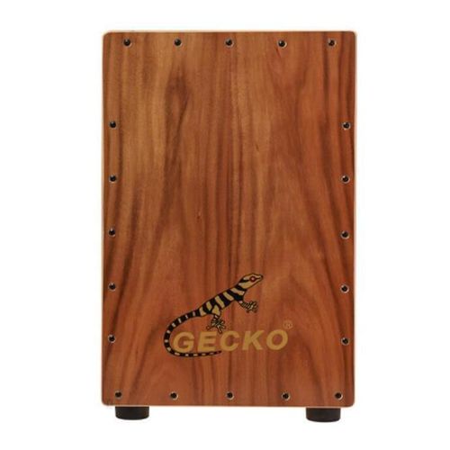купить Ударная установка miscellaneous CL10KOA Gecko в Кишинёве 